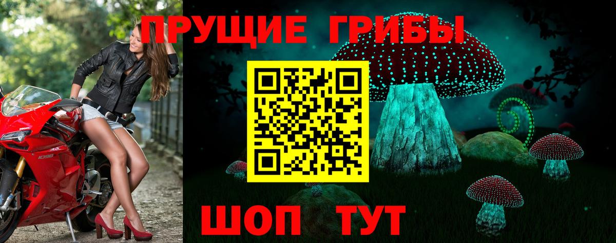 Галлюциногенные грибы MAGIC MUSHROOMS Шарыпово